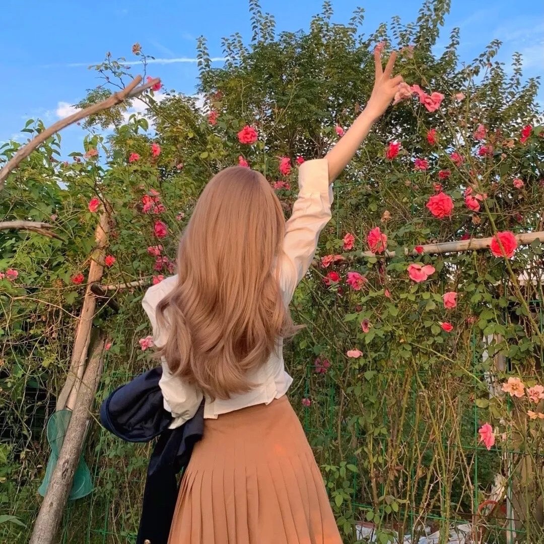 失踪的地图国语